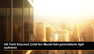 AK Parti Sözcüsü Çelik’ten Meclis’teki görüntülerle ilgili açıklama