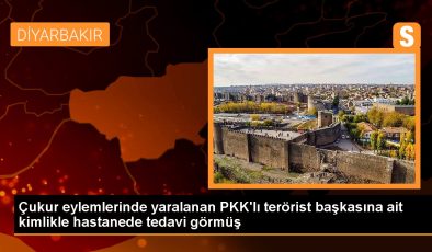 Diyarbakır’da terör örgütü PKK/KCK üyesi hakkında dava açıldı